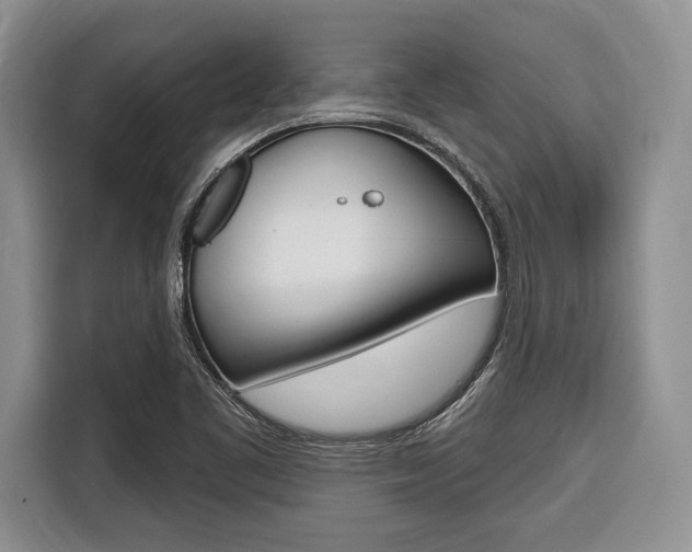 X0000116671461200912140935