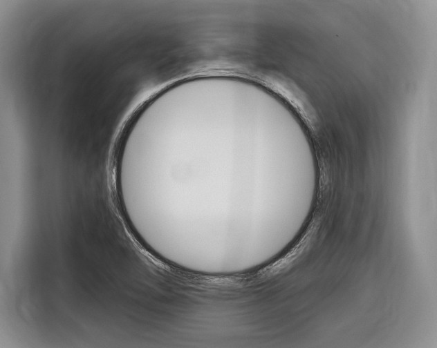 X0000116671462200912140935