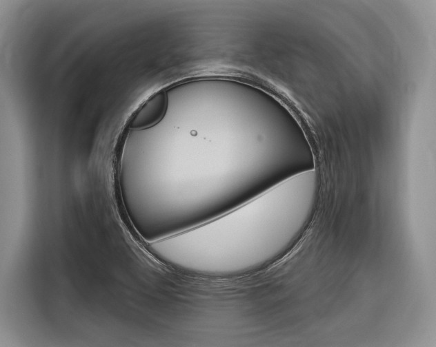 X0000116671463200912140935
