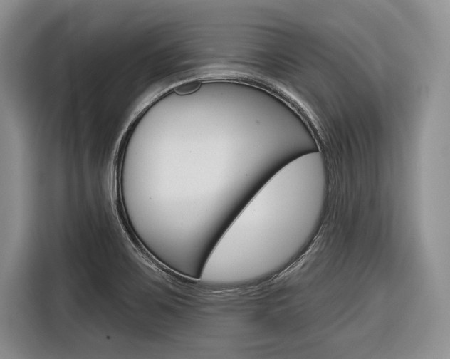 X0000116671467200912140935