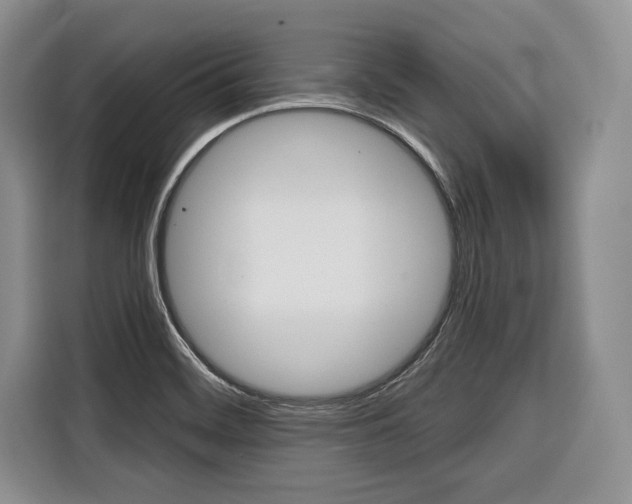 X0000116671468200912140935