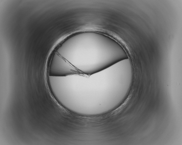 X0000116671469200912140935