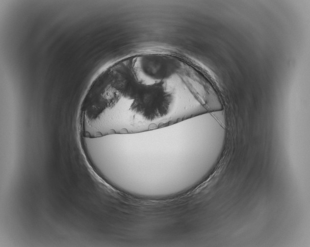 X0000116671471200912140935