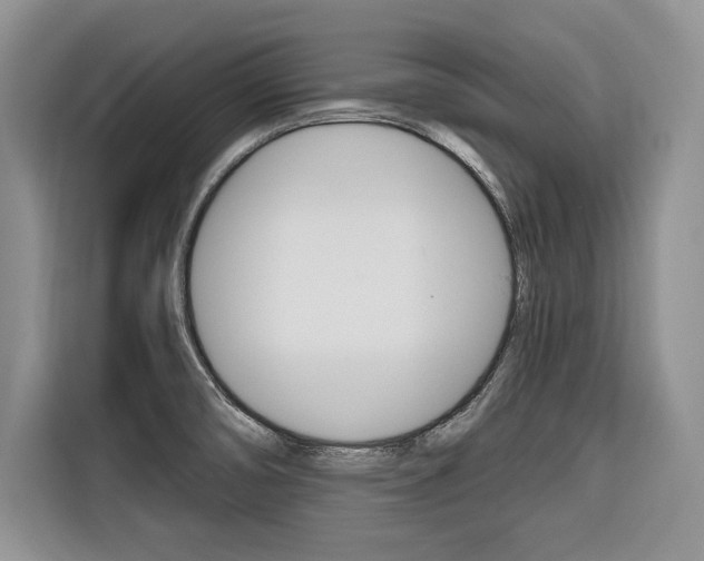 X0000116671474200912140935