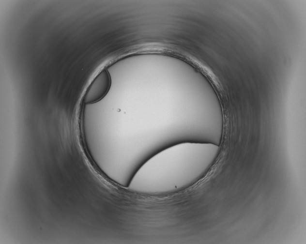 X0000116671475200912140935