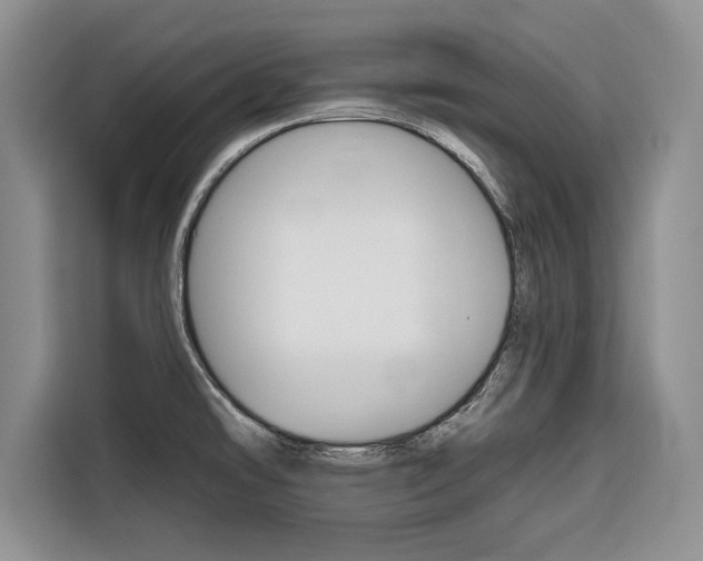 X0000116671478200912140935