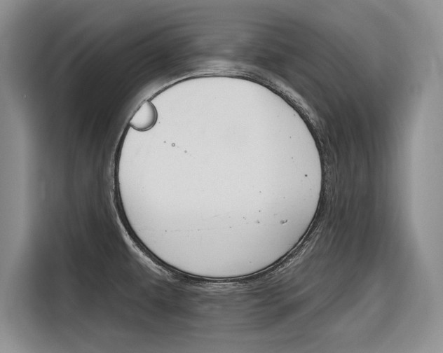 X0000116671479200912140935