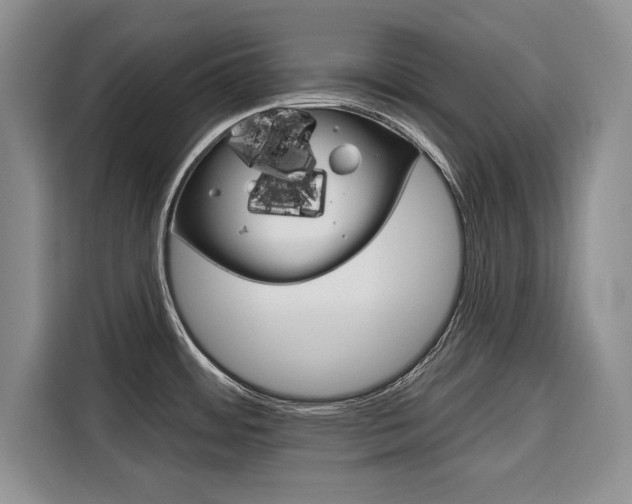 X0000116671484200912140935
