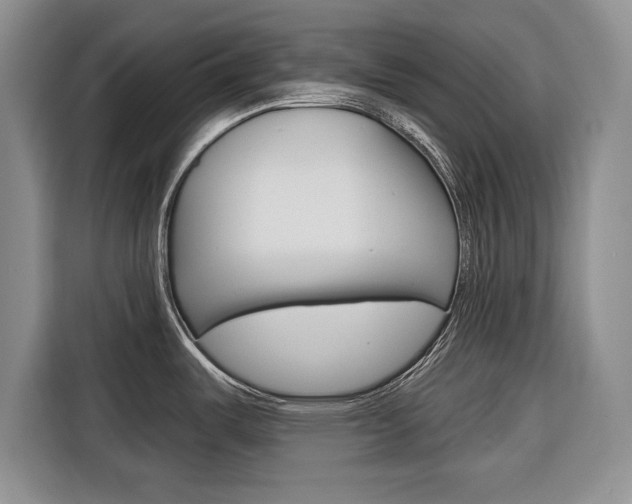 X0000116671487200912140935