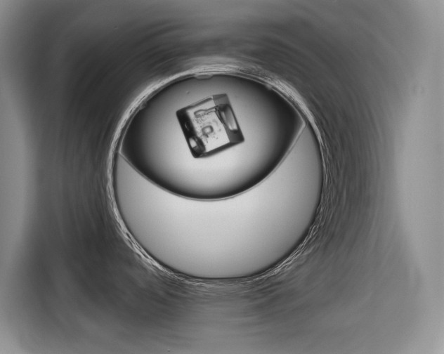 X0000116671488200912140935