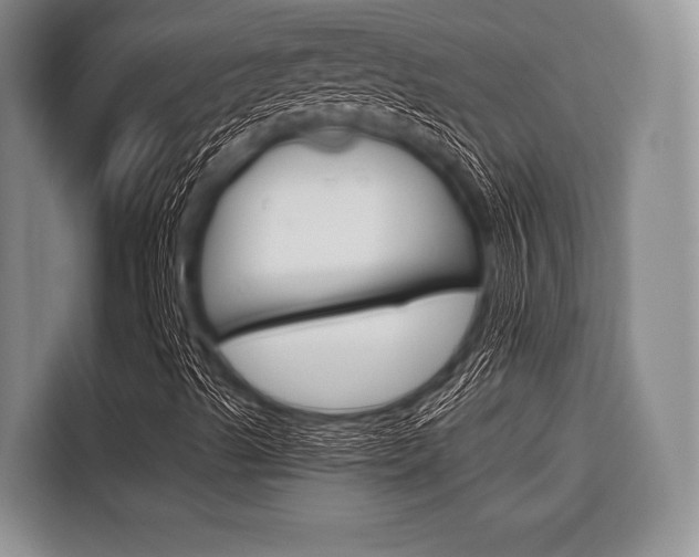 X0000116671489200912140935