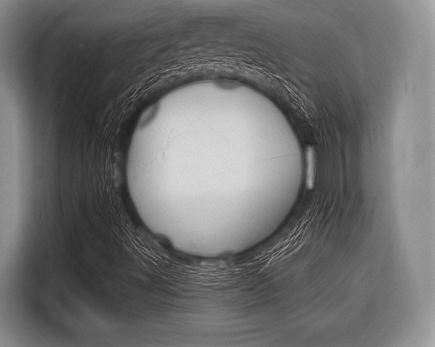 X0000116671491200912140935