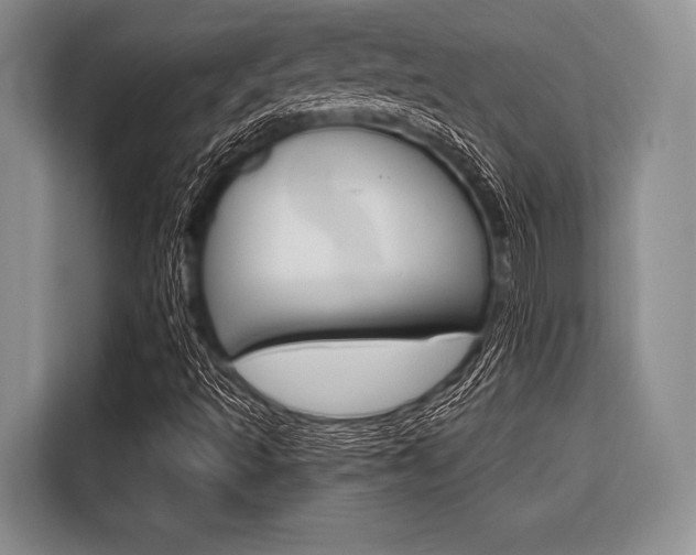 X0000116671493200912140935