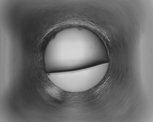 X0000116671494200912140935