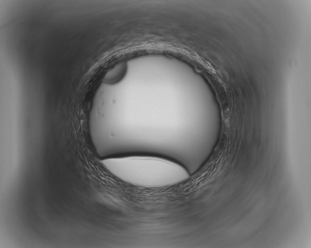 X0000116671495200912140935