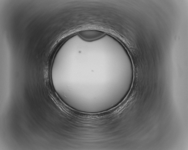 X0000116671499200912140935