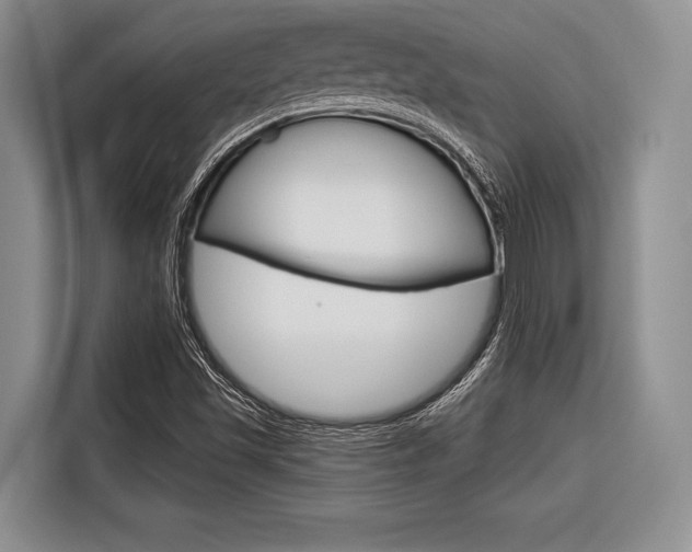 X0000116671501200912140935