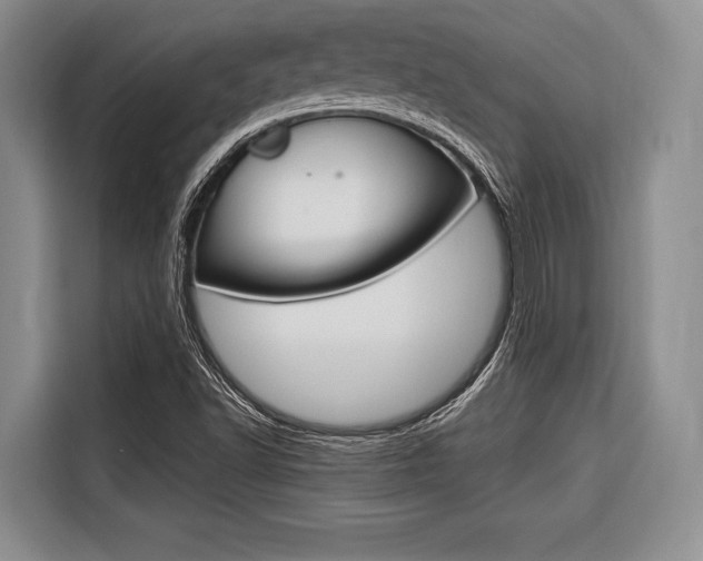 X0000116671502200912140935