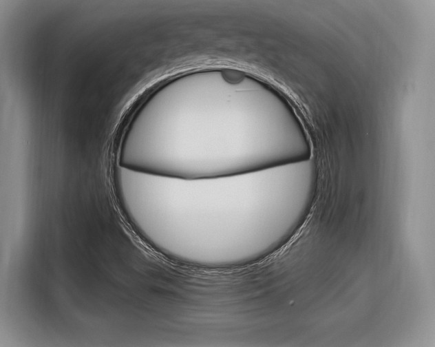 X0000116671503200912140935