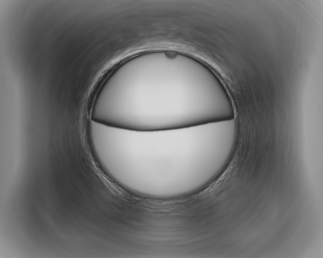 X0000116671507200912140935