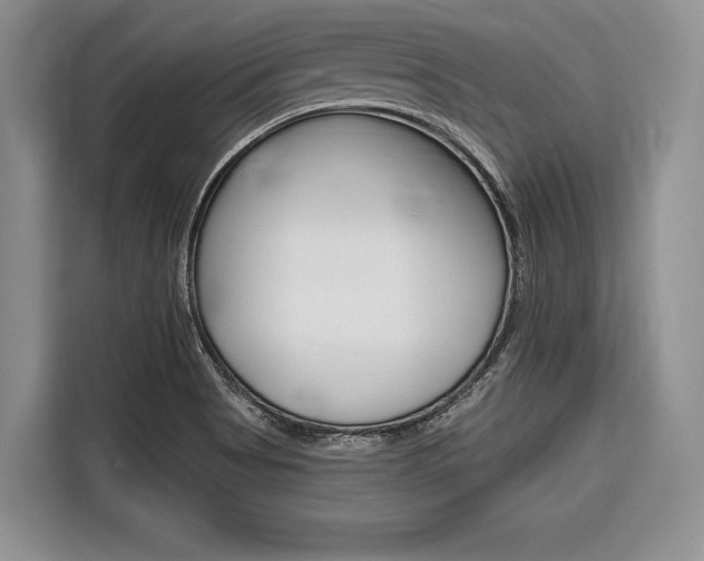 X0000116671513200912140935