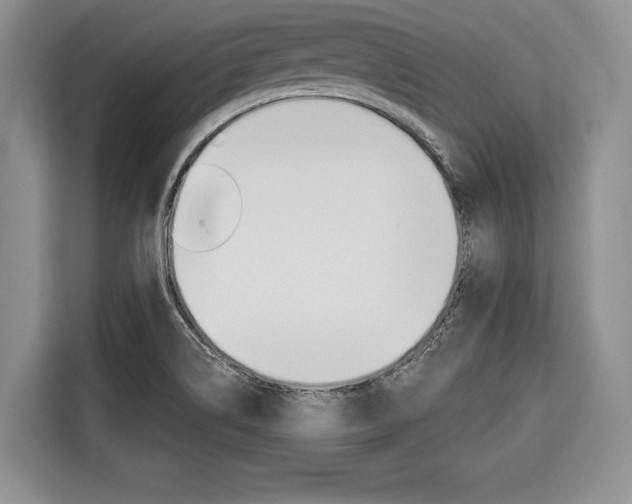 X0000116671514200912140935