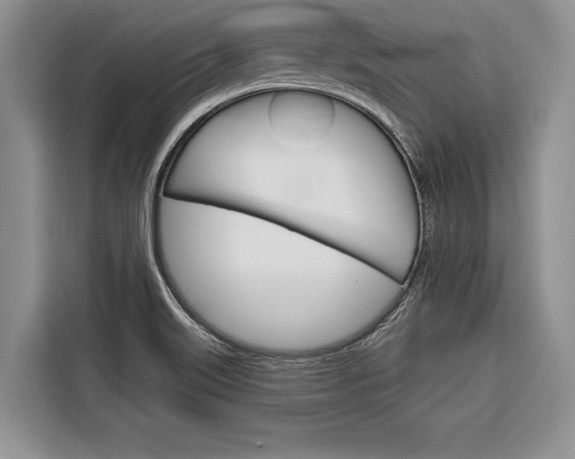 X0000116671515200912140935