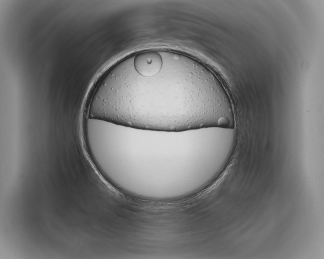 X0000116671517200912140935