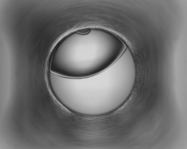 X0000116671518200912140935