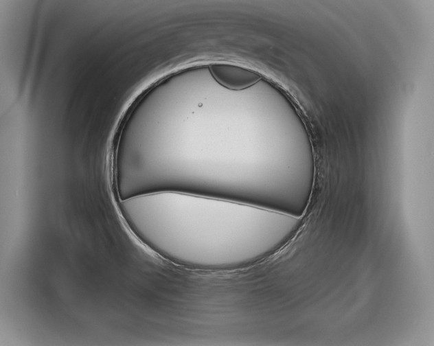 X0000116671519200912140935