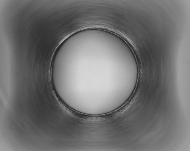 X0000116671521200912140935