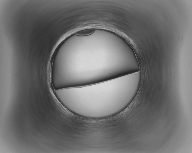 X0000116671522200912140935