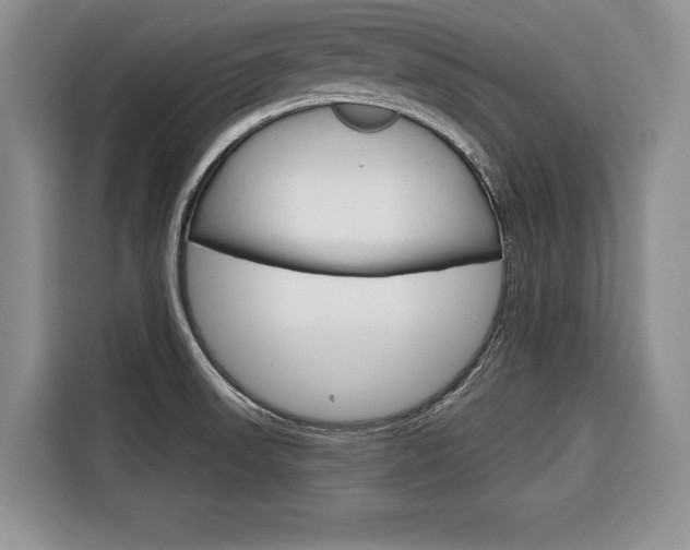 X0000116671523200912140935