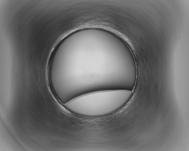 X0000116671525200912140935
