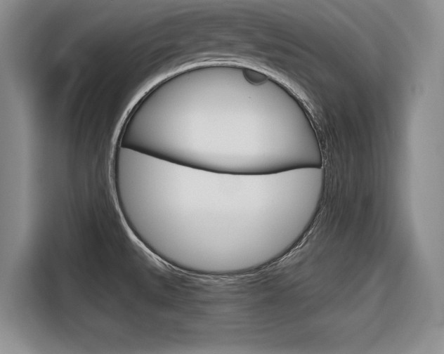 X0000116671527200912140935