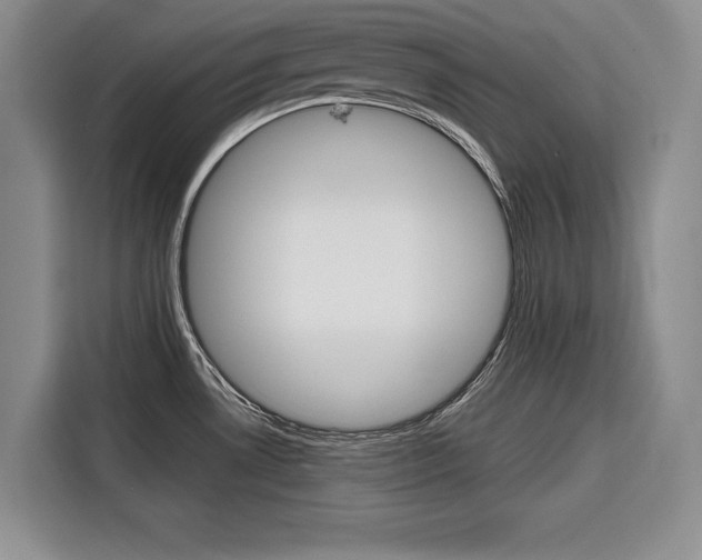 X0000116671530200912140935