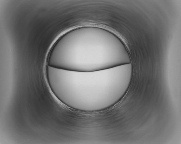X0000116671531200912140935