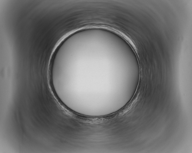 X0000116671533200912140935