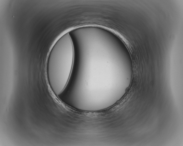 X0000116671534200912140935