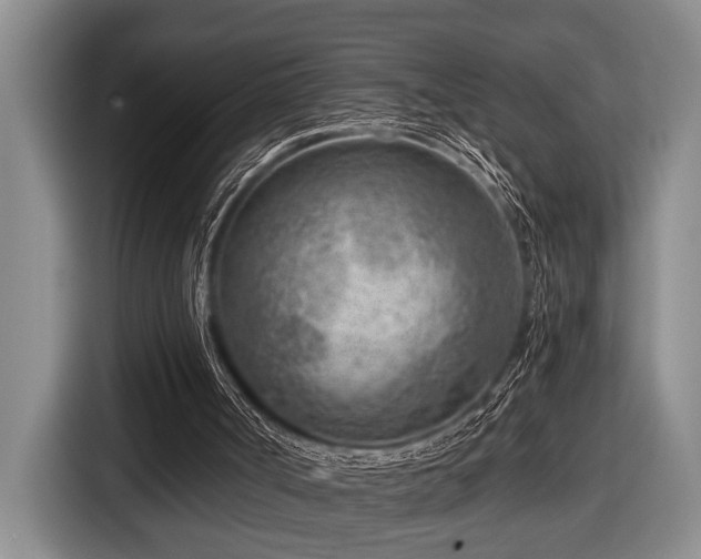 X0000116670002200912141350