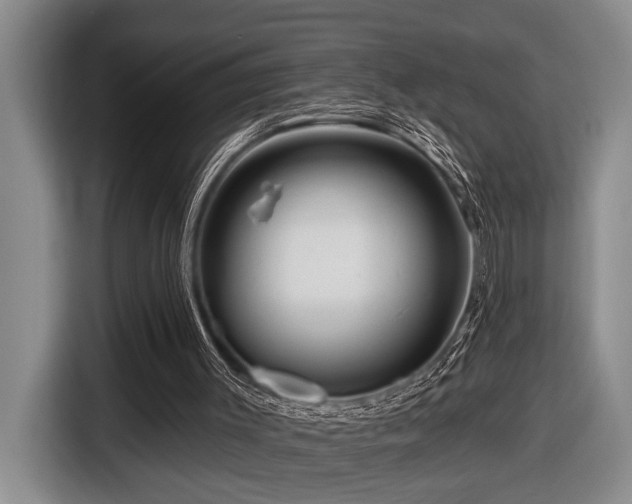 X0000116670003200912141350