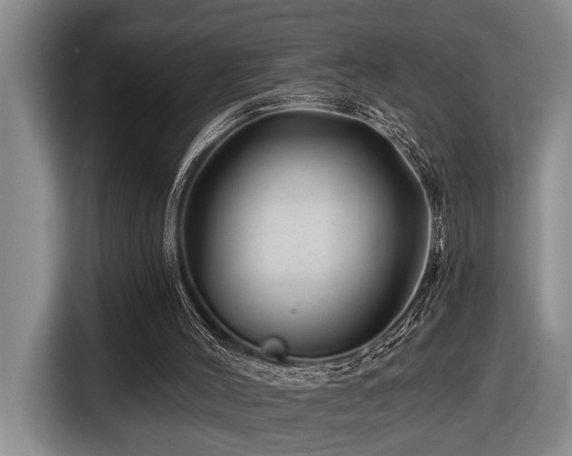 X0000116670004200912141350