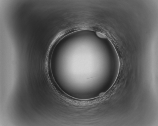 X0000116670006200912141350