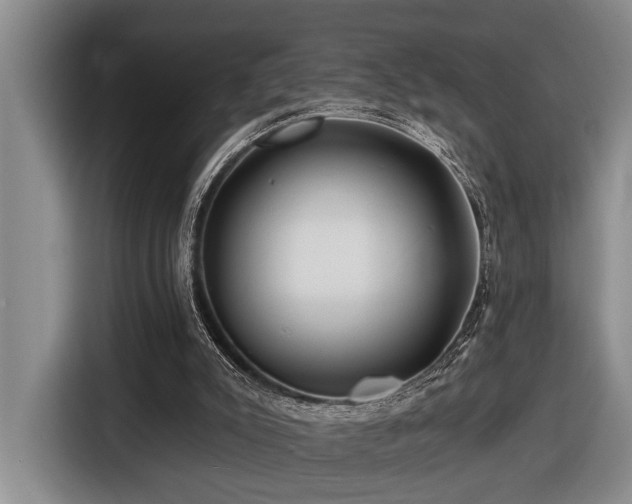 X0000116670007200912141350