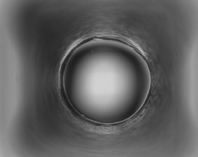 X0000116670008200912141350