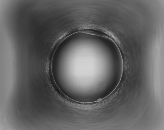 X0000116670010200912141350