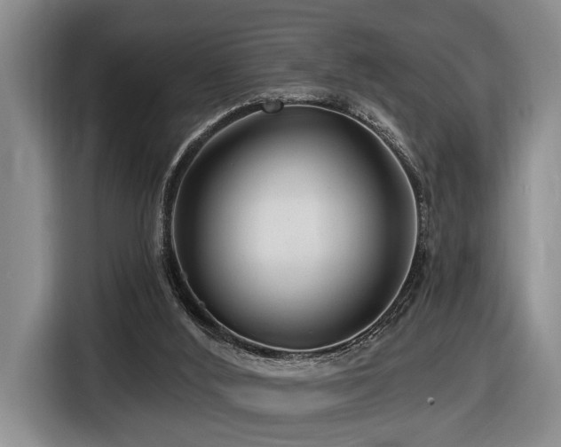 X0000116670012200912141350