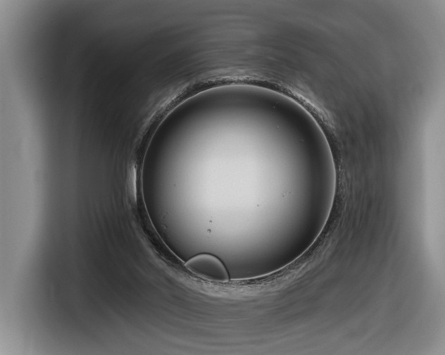 X0000116670014200912141349