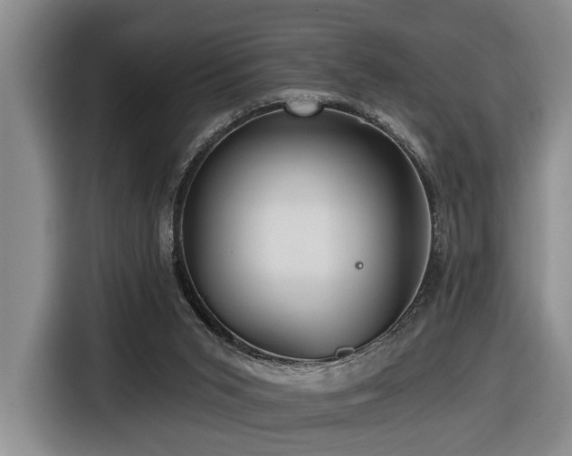 X0000116670015200912141349