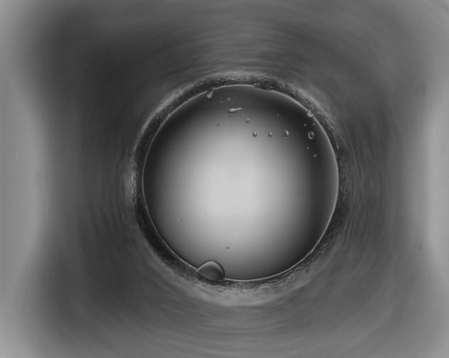 X0000116670016200912141349